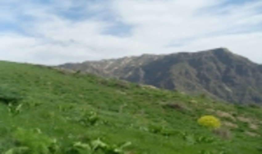 در بیش از یک میلیون و 300 هزار هکتار از مراتع هرمزگان طرح مرتعداری اجرا شده است