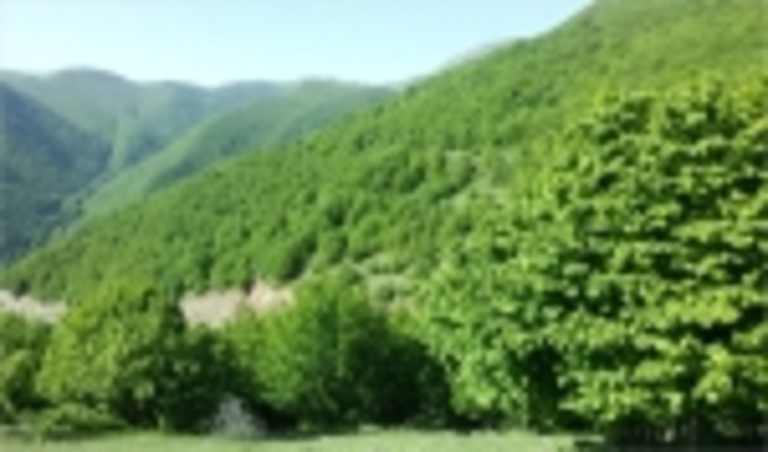 اختصاص ۱۰۰میلیارد ریال برای احیای جنگل‌های آذربایجان‌غربی 