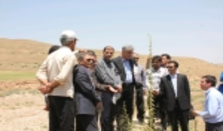 بازدید کارشناسان سازمان جنگل ها از پروژه های الگویی استان زنجان/ رضایت مندی مردم از طرح های آبخیزداری  
