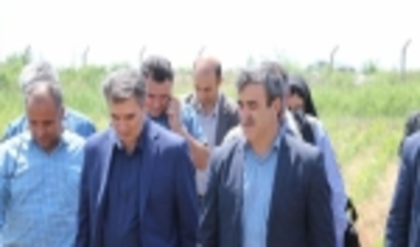 تولید بیش از ۲ میلیون اصله نهال در ایستگاه تولید بذر و نهال مغان