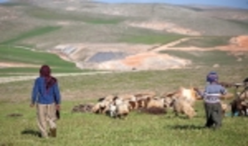 ۳ میلیارد ریال برای طرح مدیریت کوچ عشایر در اصفهان اختصاص یافت 