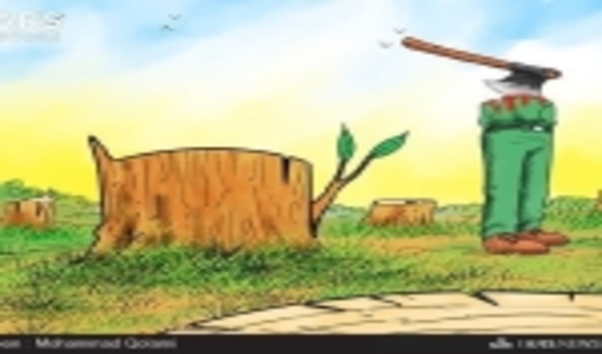 ضاربین جنگلبانان ساری دستگیر شدند