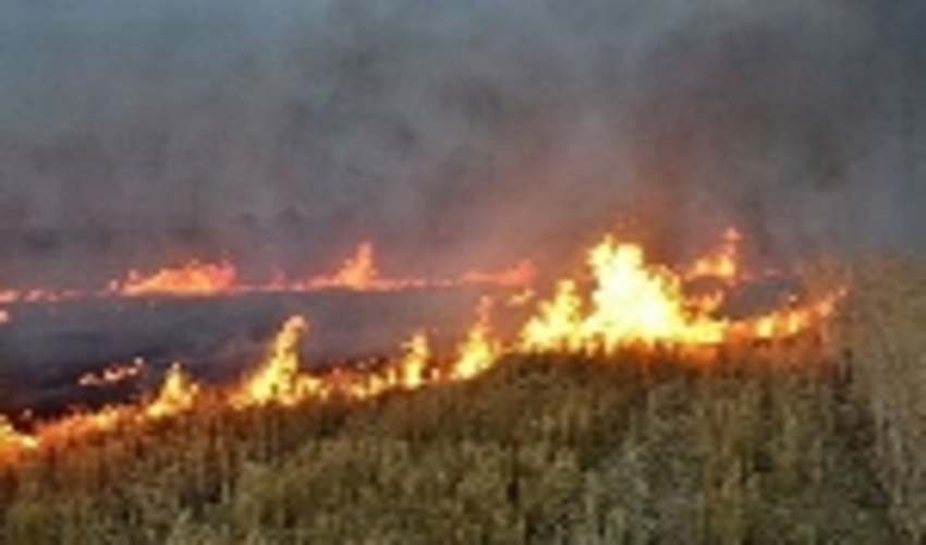 مهار ۴ مورد آتش سوزی در عرصه های منابع طبیعی استان قزوین