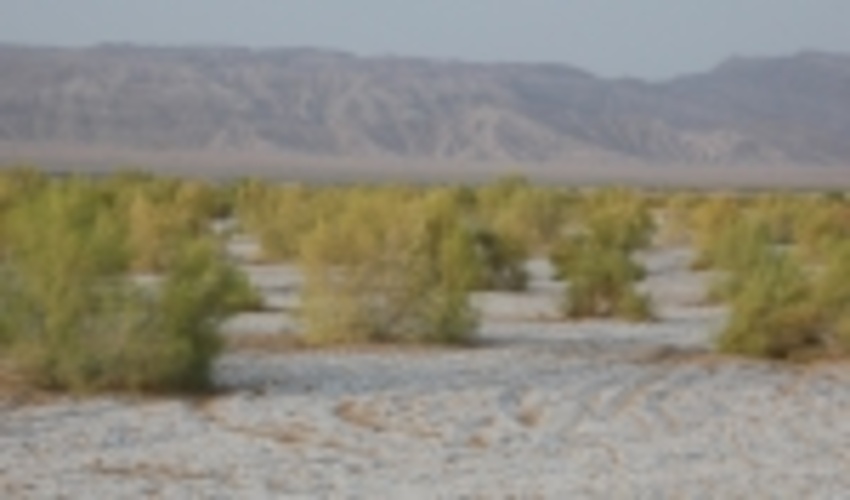 اصفهان/مهار ریزگردها نیازمند مدیریت یکپارچه حوضه‌های آبریز کویر مرکزی است