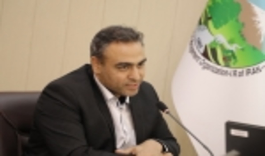 مجری توسعه زراعت چوب منصوب شد