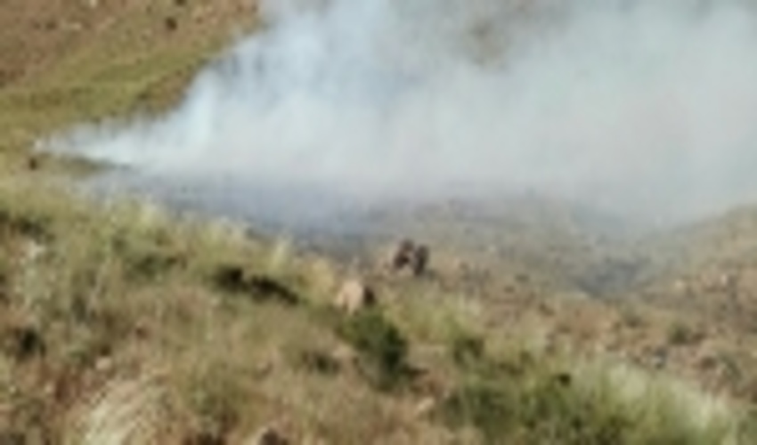 اجرای طرح «آتش بُر» در سطح 2000 هکتار از مراتع کوه خواجه