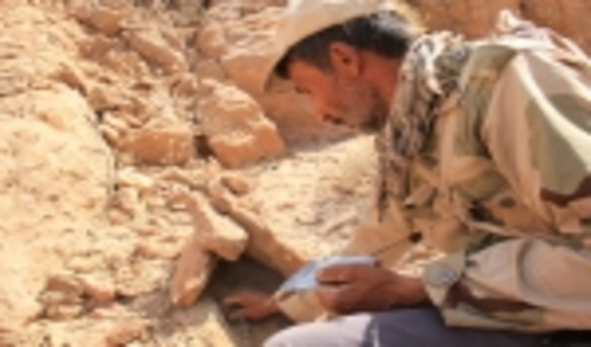 آنغوزه در خور و بیابانک ۱۵میلیارد ریال برای بهره برداران درآمد زایی دارد