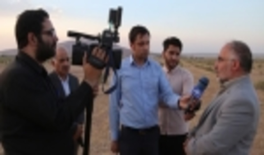 قم/بوته‌کاری و نهال‌کاری در 1600 هکتار از کانون‌های تولید ریزگرد