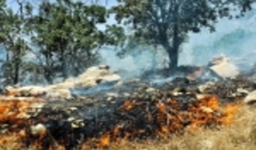 مراتع جنوب پایتخت مستعد آتش سوزی است