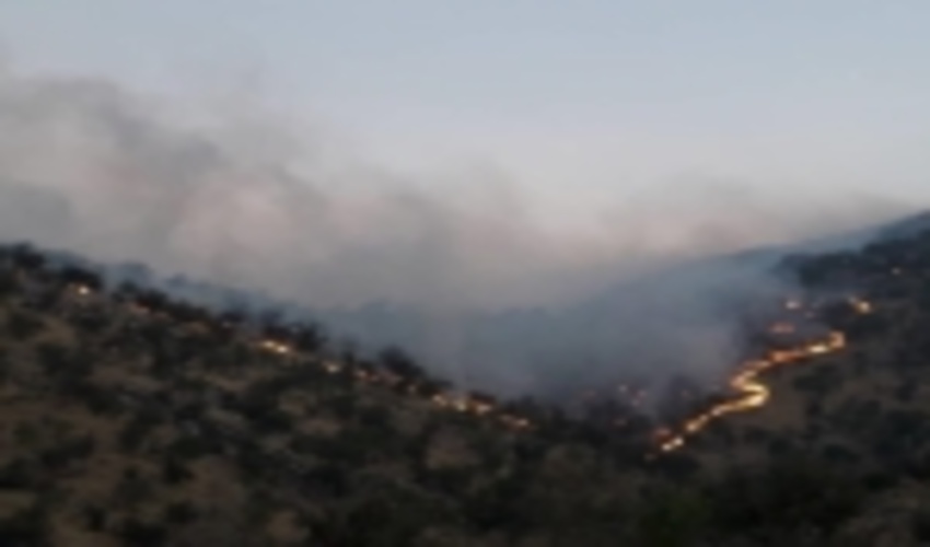 آتش سوزي گسترده ارتفاعات جنگلي كازرون و كهمره سرخي شيراز مهار شد