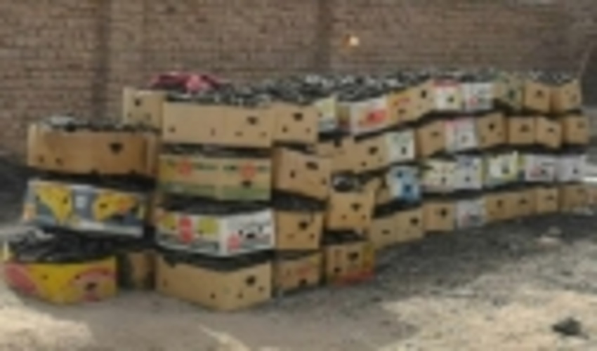  کشف و ضبط 120کارتن زغال و هیزم قاچاق در زاهدان