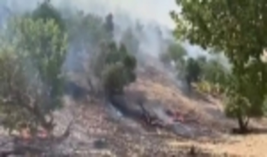 50 هکتار از اراضی ملی پاوه در آتش سوخت