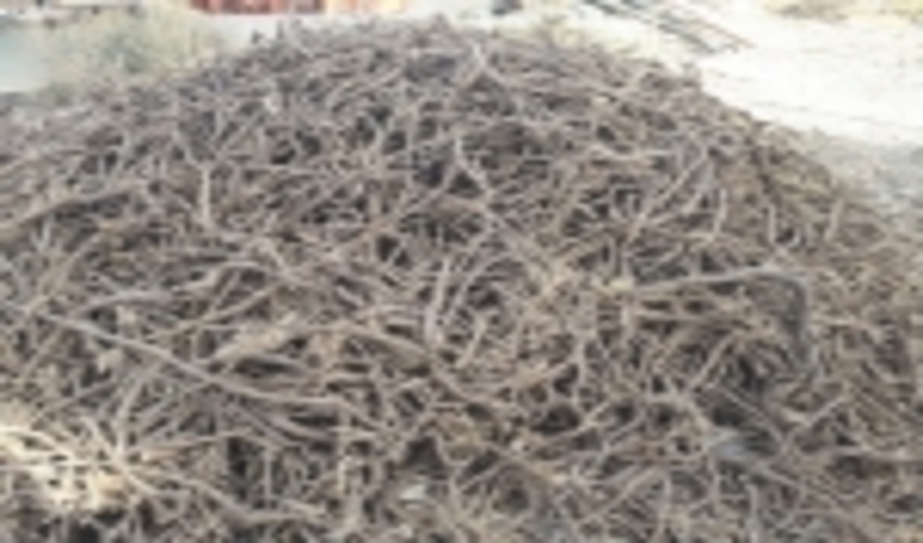 کشف وضبط سه تن ریشه شیرین بیان در شهرستان رزن