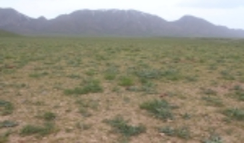 اجرای پروژه ممیزی مراتع در 56 هزار هکتار اراضی استان مرکزی