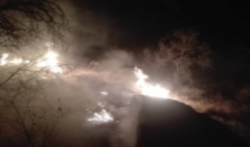 آتش سوزی ارتفاعات بوان شهرستان ممسنی مهار شد