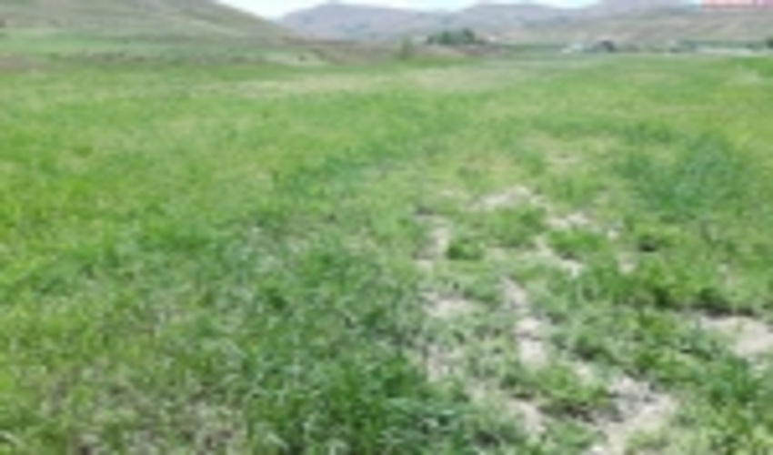 يك قطعه زمين به ارزش 110 ميليارد ريال در رامسر بازپس گرفته شد 