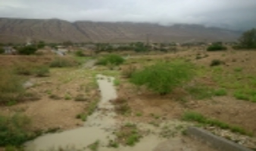 بررسی و رفع مشکلات ممیزی مراتع شهرستان بندرخمیر