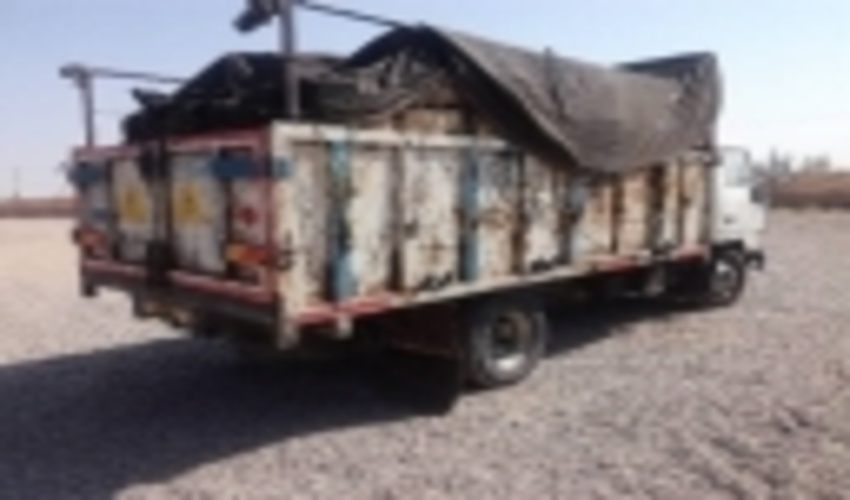 کامیون حامل دو تن زغال چوب قاچاق توسط یگان حفاظت شهرستان انار توقیف شد