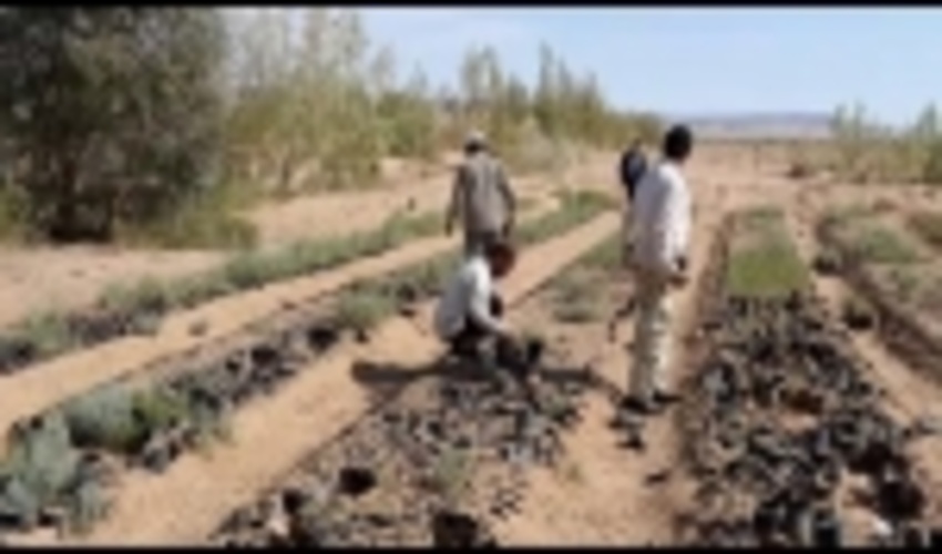 اجرای چهار طرح آبخیزداری در شهرستان خوروبیابانک 