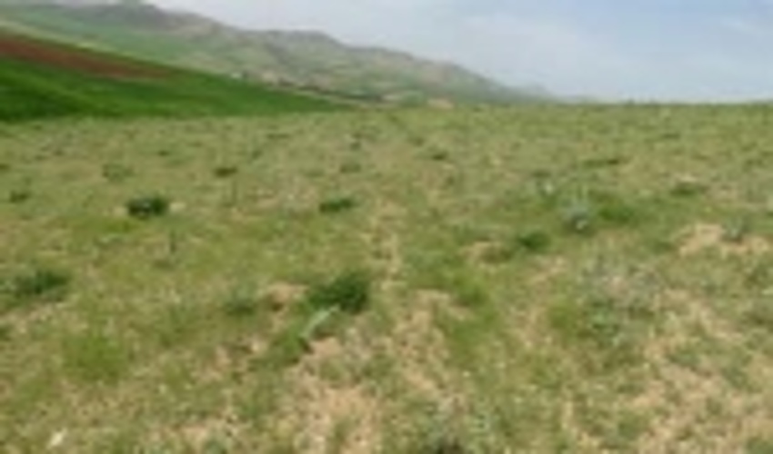 هرمزگان / پایان 3 پروژه بخش مرتع از محل صندوق توسعه ملی 