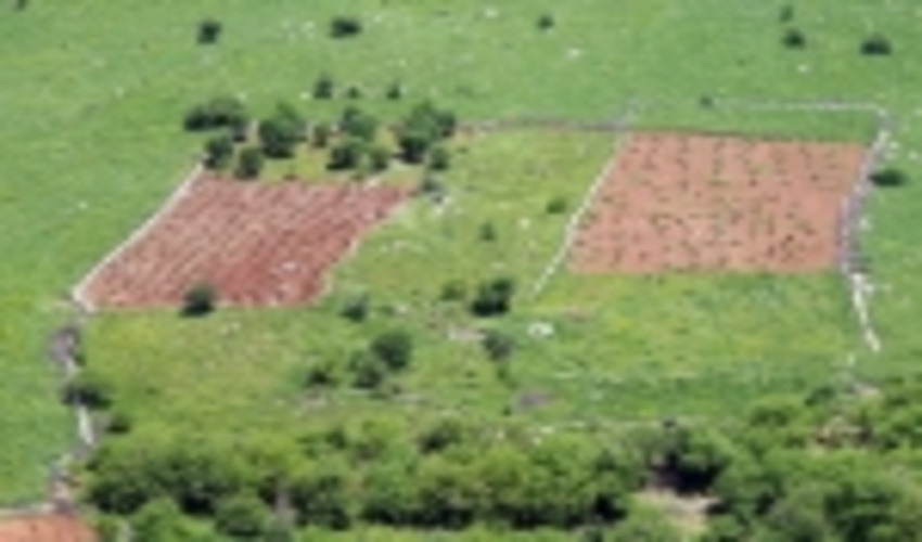 کمربند سبز ۵۲ کیلومتر از اراضی استان فارس را حفاظت می‌کند