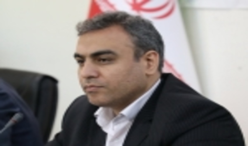 مجری توسعه زراعت چوب: مکلف به زراعت چوب در ۷۵ هزار هکتار از اراضی کشور هستیم