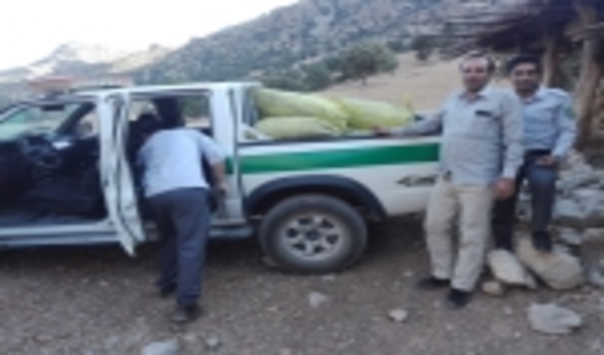 کشف و ضبط 160 کیلوگرم ذغال جنگلی در شهرستان رستم