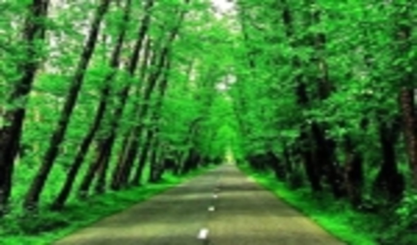 ذخیره گاه سفیدپلت آستانه در فهرست آثار طبیعی ملی ایران به ثبت رسید