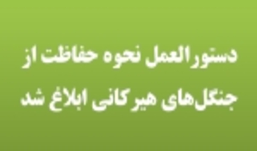 دستورالعمل نحوه حفاظت از جنگل‌های هیرکانی ابلاغ شد