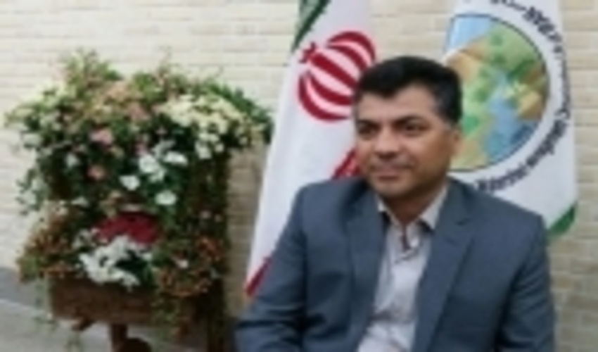 سهل‌انگاری گردشگران در دامغان حادثه آفرید/ ۱۰ اصله درخت اورس سوخت