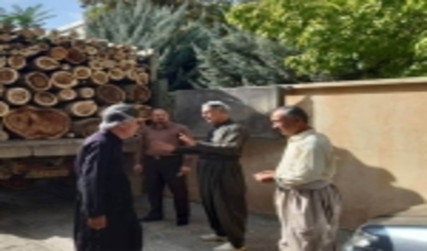 محموله ۶ تُنی چوب قاچاق در سقز کشف شد