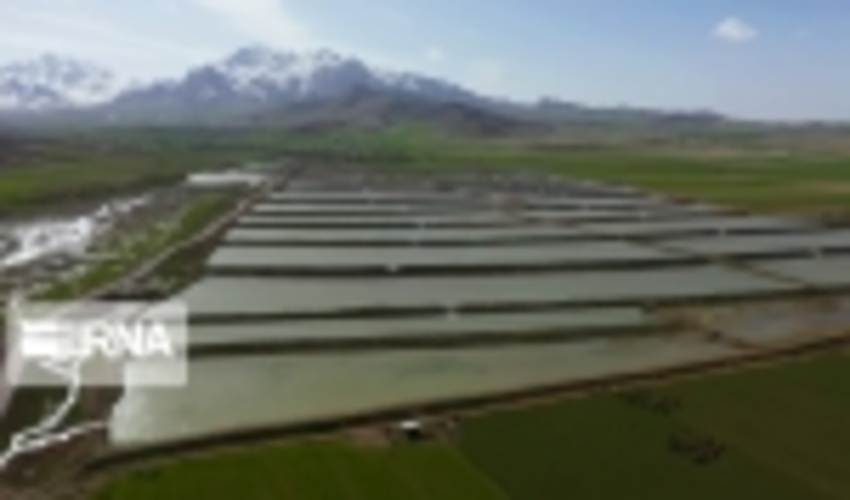 آبخیزداری فقط در ۱۰ درصد حوضه‌های آبخیز کشور اجرا شده است