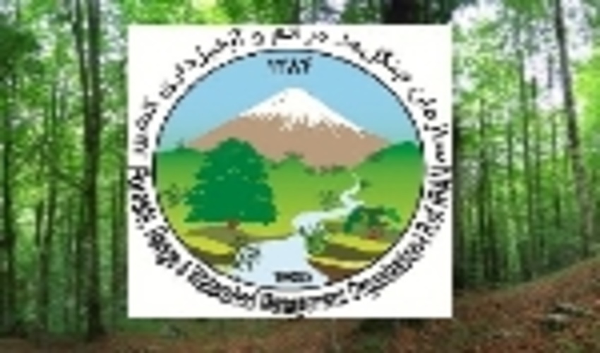 سازمان جنگل‌ها در توسعه دولت الکترونیک رتبه نخست را کسب کرد