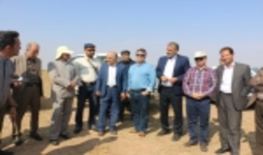 کاشت 150 هزار آتریپلکس در منطقه کوه نمک قم