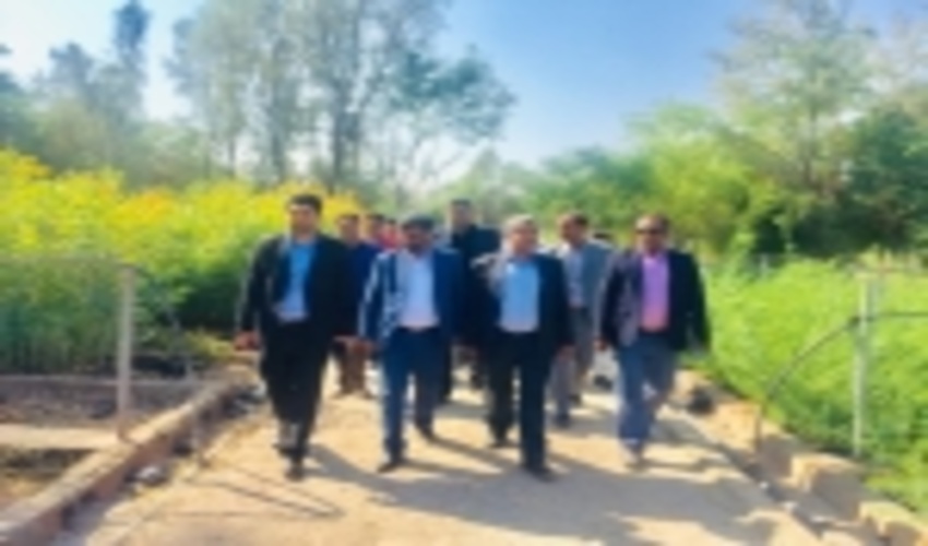 افتتاح سایت دوم نهالستان تولید نهال روستای بوئینگ شهرستان رودبار جنوب