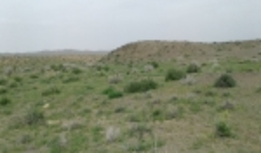 فارس / تقویت طرح‌های منابع‌طبیعی با توانمندسازی مرتعداران