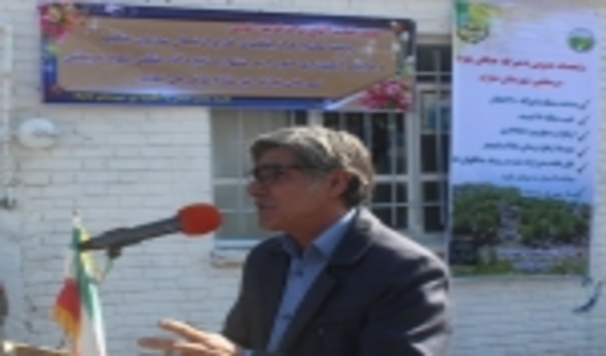 ۸۱۵ هزار هکتار جنگل‌کاری در کشور انجام می‌شود