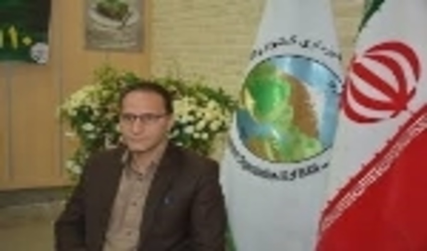 متهمان جرایم خفیف در منابع طبیعی مهدی‌شهر به‌کارگیری شدند