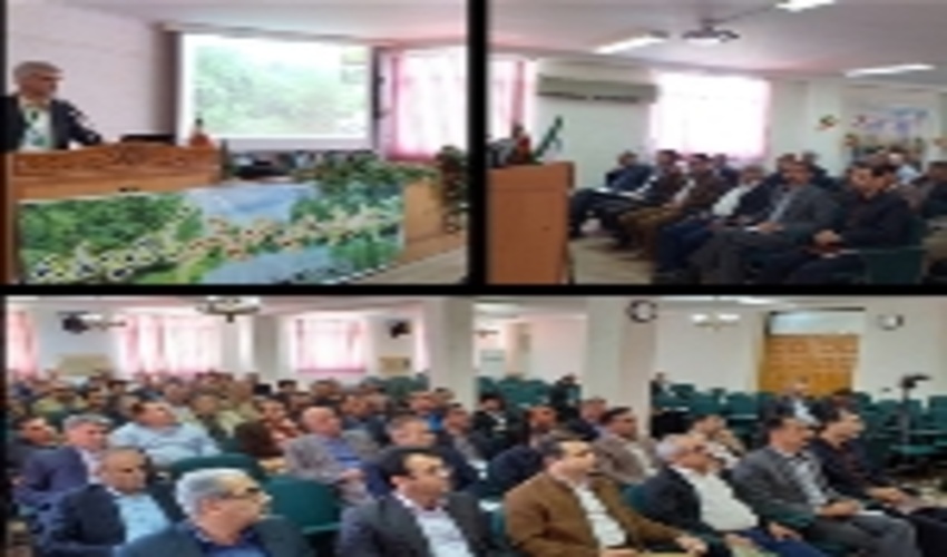 جوانه زنی دوباره شمشادهای سنگده ساری