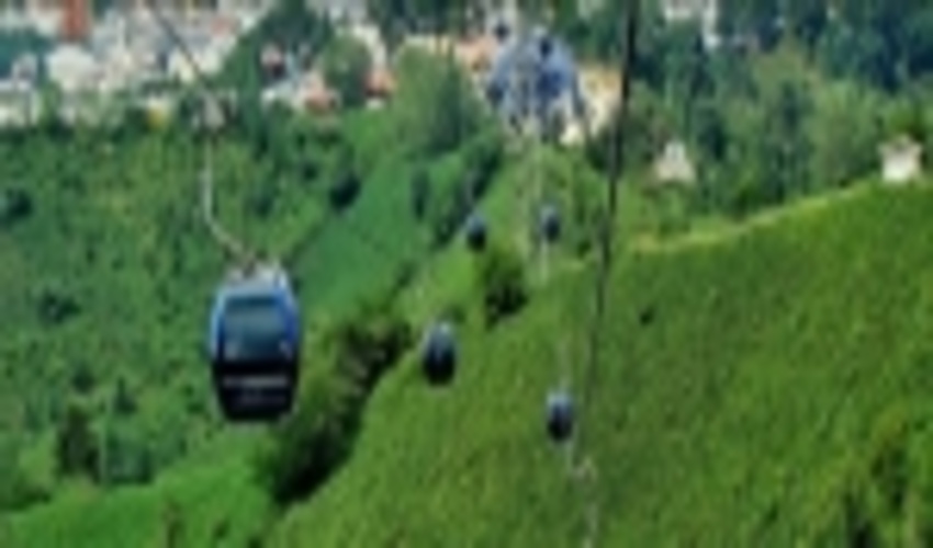 سازمان جنگل‌ها از طرحی که به ثبت جهانی جنگل‌های هیرکانی آسیب وارد کند، حمایت نخواهد کرد