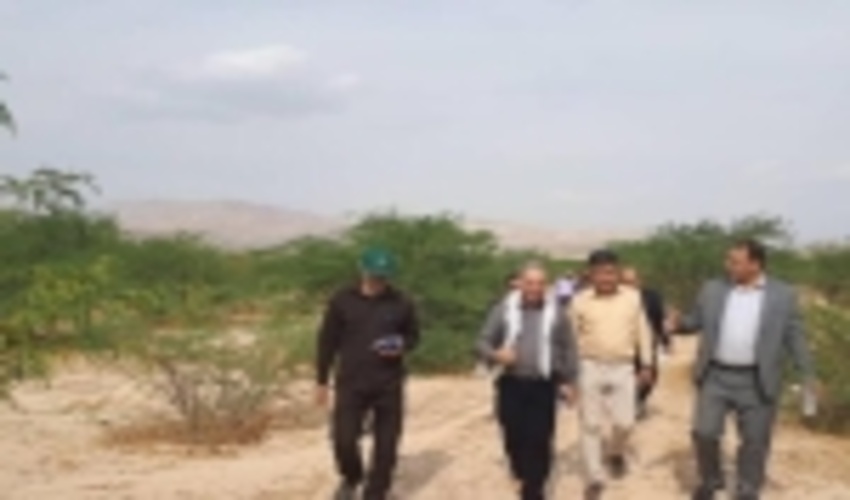 دهلران از مناطق پیشرو در توسعه جنگل کاری است