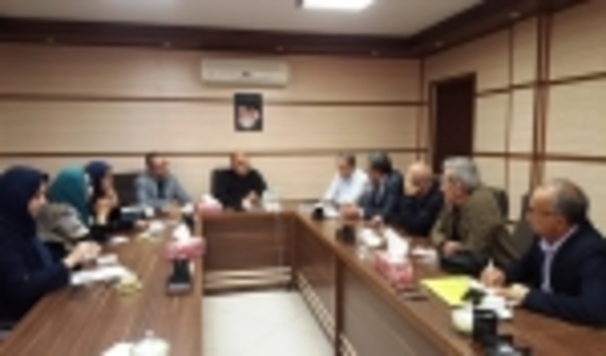 تهران/نشست هم اندیشی با سازمان های مردم نهاد برگزار شد