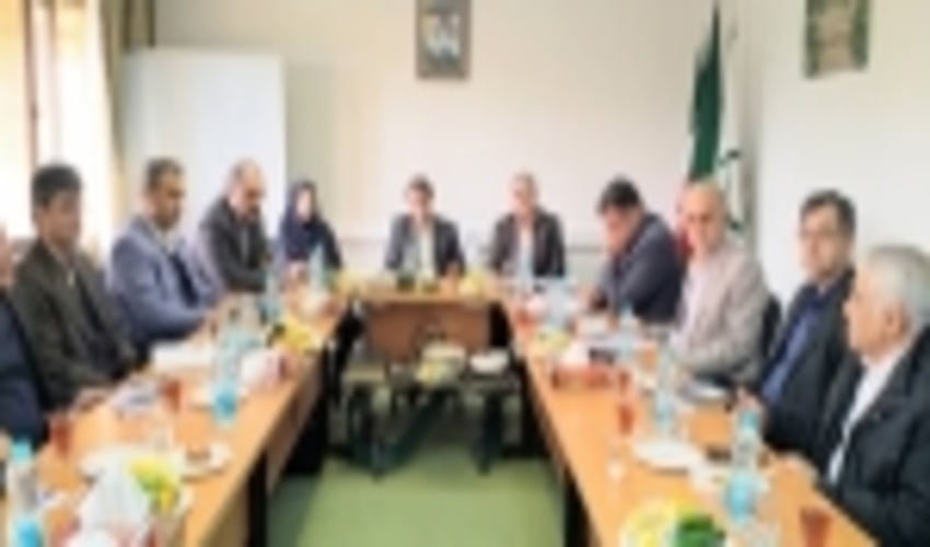 توسعه زراعت چوب از اقدامات مهم در زمینه  حفاظت از جنگل هاست