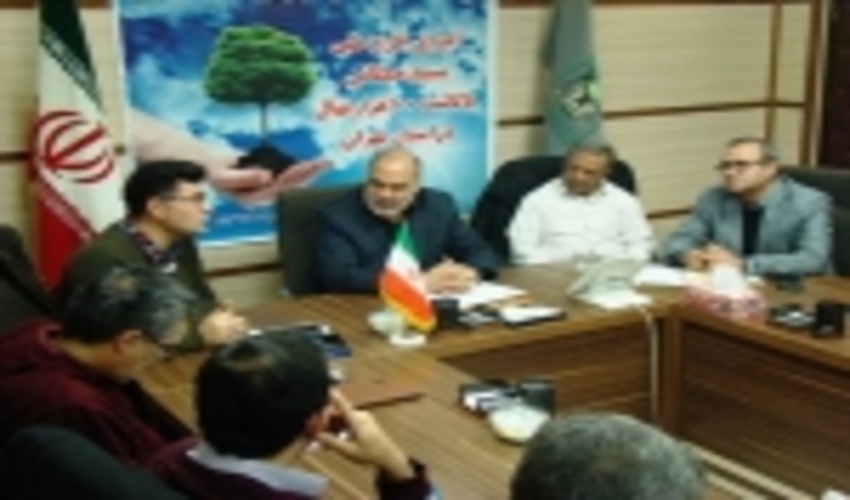 کاشت 100 هزار نهال در 300 هکتار از عرصه‌های منابع طبیعی استان تهران