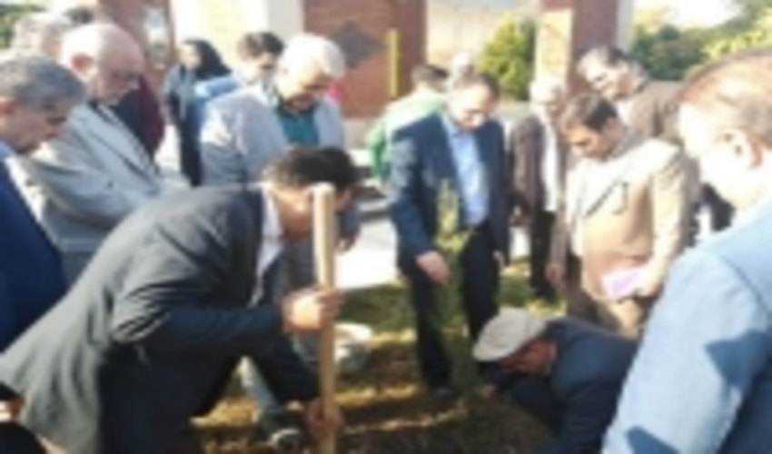 بیش از یک میلیون اصله نهال در گلستان غرس شد 