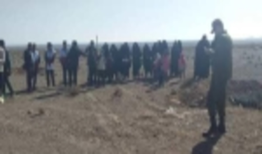 جنگل‌کاری در بیش از 3400 هکتار از اراضی کرمانشاه