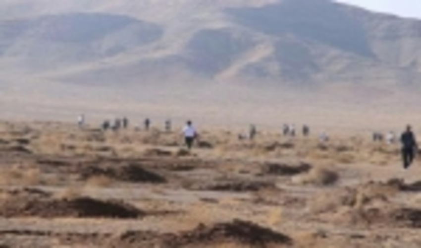 125هزار اصله نهال جنگلی در اراضی استان اصفهان کاشته شد 