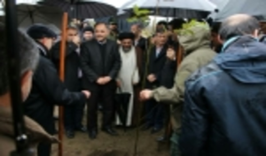 کاشت ۲ میلیون اصله نهال در گیلان