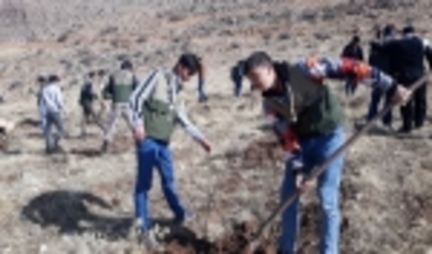 طرح «بسیج همگانی نهالکاری» در کشور کلید خورد/ غرس 70 هزار اصله نهال در استان چهارمحال