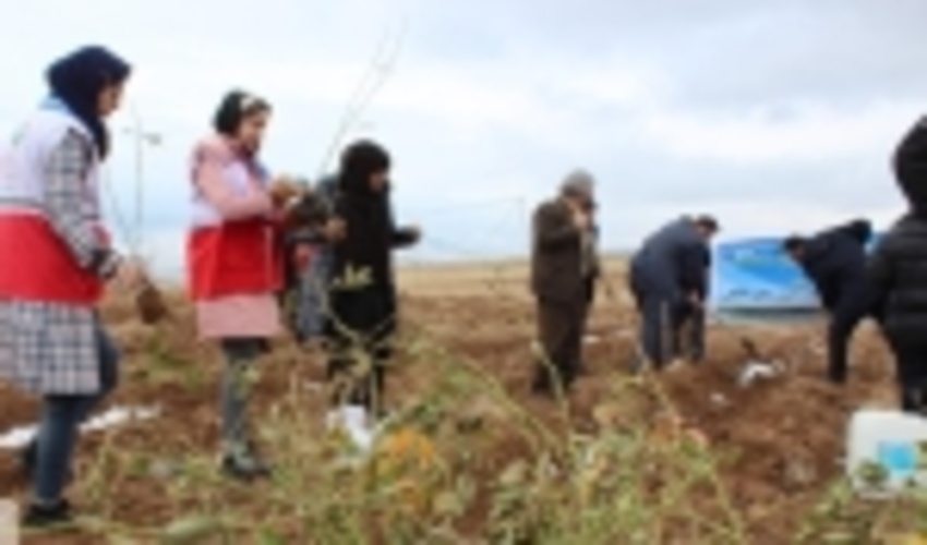  غرس بیش از هفت هزار اصله نهال در پارس‌آباد